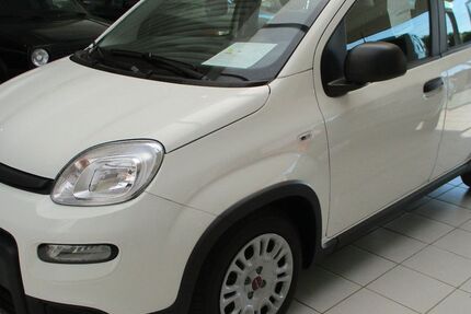 Fiat Panda 1.100 km 13.950 € Lingen - Baccum 49811