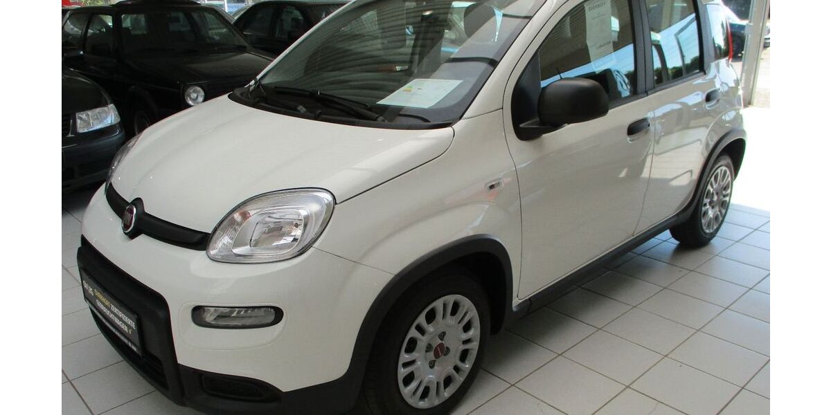 Fiat Panda 1.100 km 13.950 € Lingen - Baccum 49811