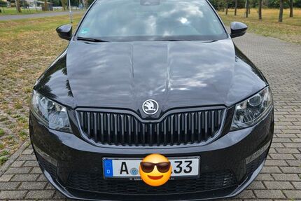 Skoda Octavia 157.000 km 14.290 &euro; Eilenburg 04838