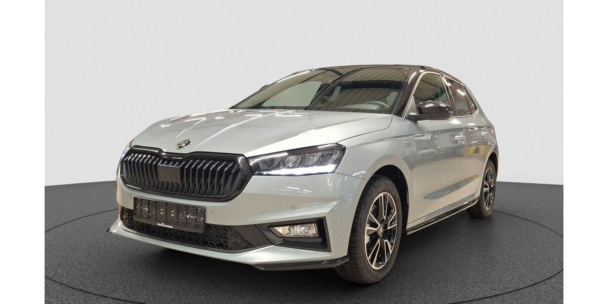 Skoda Fabia 1.150 km 23.890 &euro; Karlsruhe 76131