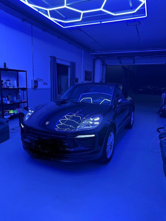 Macan