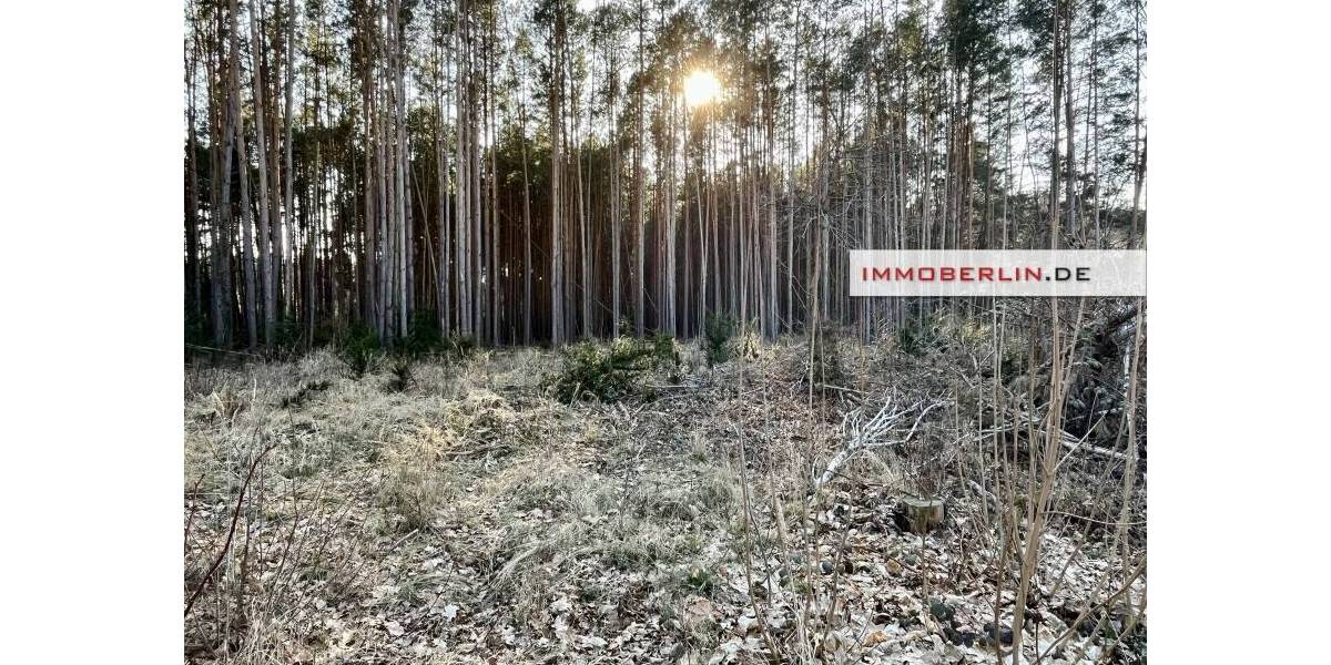 Grundstück Storkow Kummersdorf - 150.000&euro; | Angebot:26217540