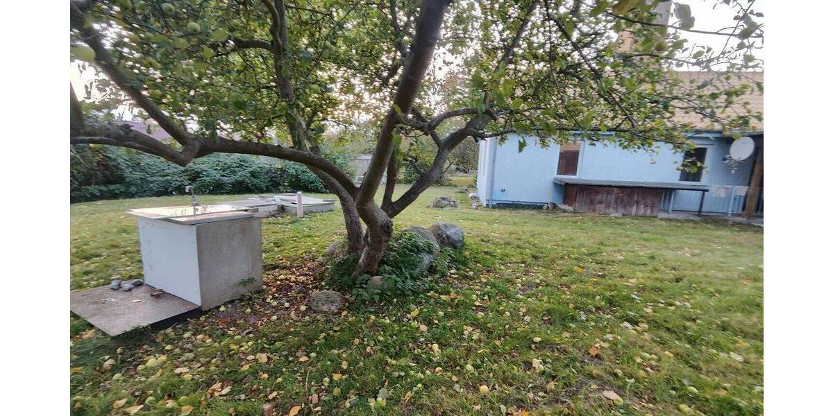 Mehrfamilienhaus, Wohnhaus Putbus OT Lauterbach Lauterbach - 1 Zimmer, 330 m&sup2;, 890.000&euro; | Angebot:26902369