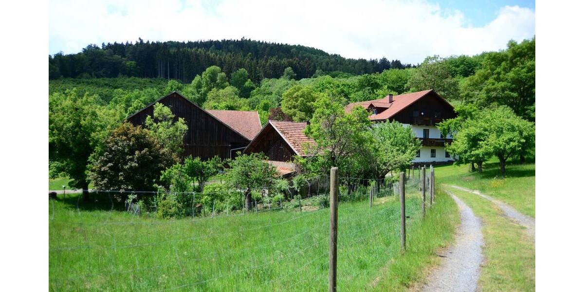 Mehrfamilienhaus, Wohnhaus Wiesenfelden - 659.000&euro; | Angebot:25984480