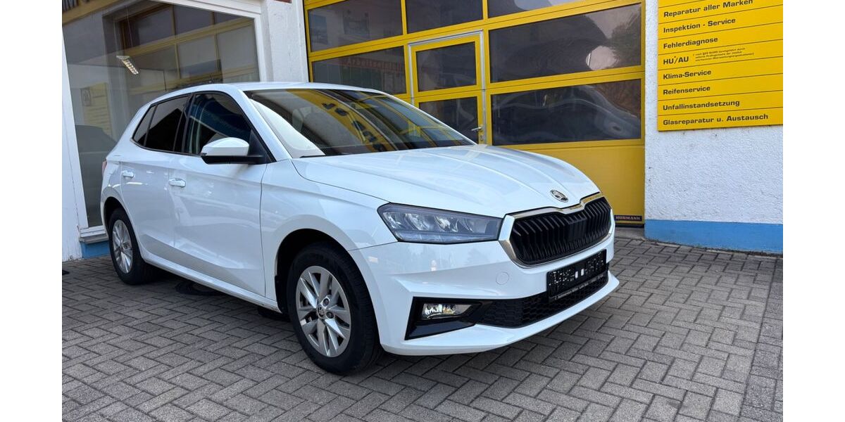 Skoda Fabia 82.000 km 15.780 &euro; Lahr 77933