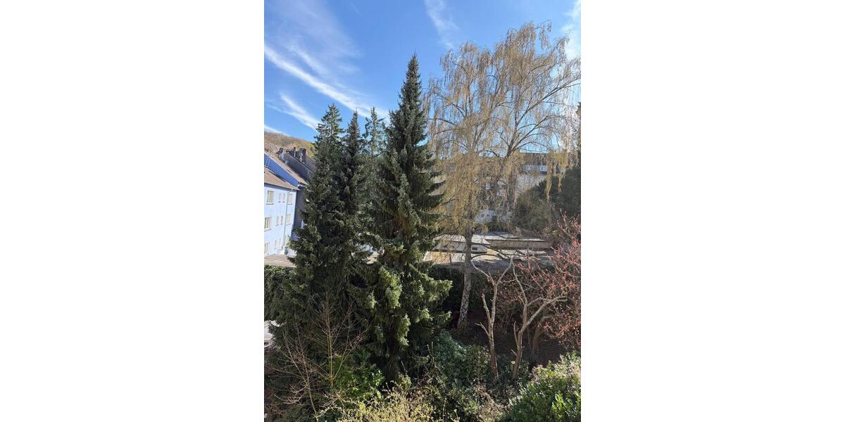 Dachgeschoßwohnung Wuppertal Lichtenplatz - 1 Zimmer, 45 m&sup2;, 530&euro; | Angebot:26032951