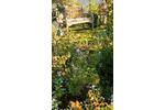 Einfamilienhaus Gevenich - 134.000&euro; | Angebot:26440144