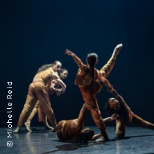 Tanzfestival: FLOCK-Film 29.10.2026 Neues Globe