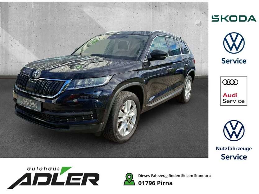 Skoda Kodiaq 76.500 km 24.990 € Bahretal 01819