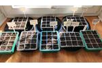 Grundstück Hilden - 60&euro; | Angebot:24992457