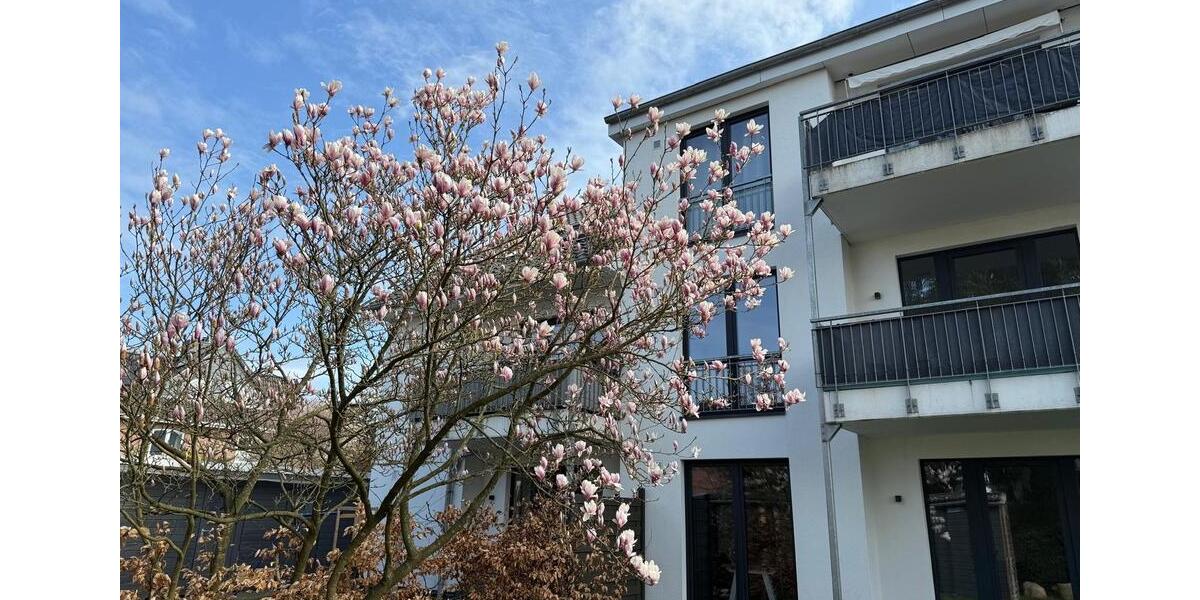 Dachgeschoßwohnung Henstedt-Ulzburg Ulzburg - 2.5 Zimmer, 63 m&sup2;, 945&euro; | Angebot:24817046