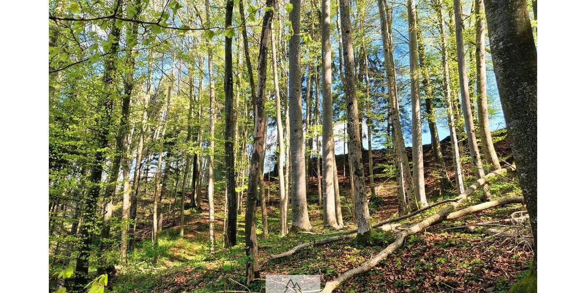 Grundstück Bergatreute - 119.000&euro; | Angebot:26798337