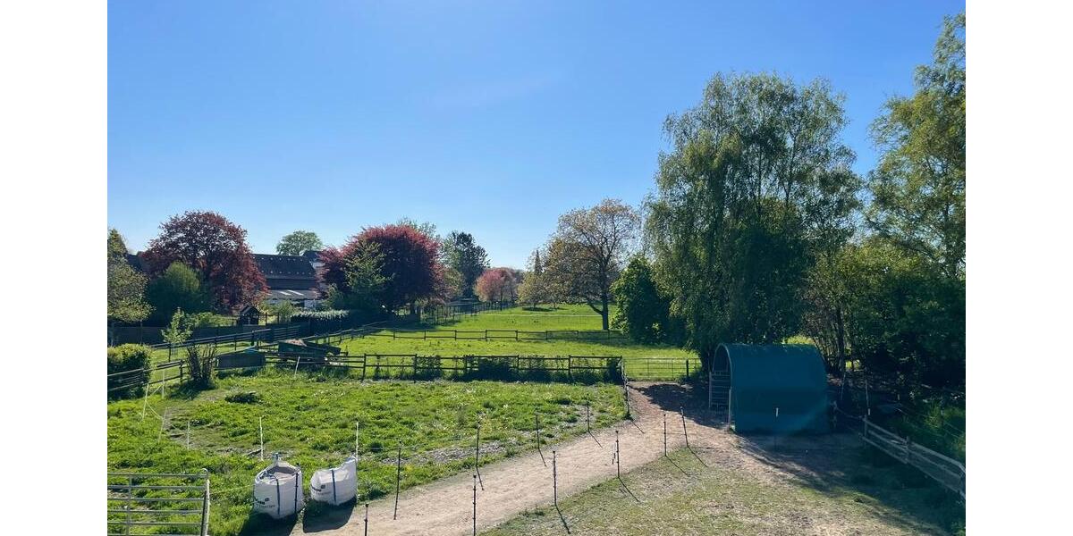 Einfamilienhaus Jüchen - 3 Zimmer, 100 m&sup2;, 895.000&euro; | Angebot:26821750