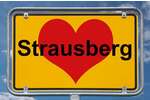 BAUREIFES GRUNDSTÜCK IN STRAUSBERGGARTENSTADT, NAHE DEM STRAUSSEE... - Grundstück Strausberg Strausberg | Angebot:24559309