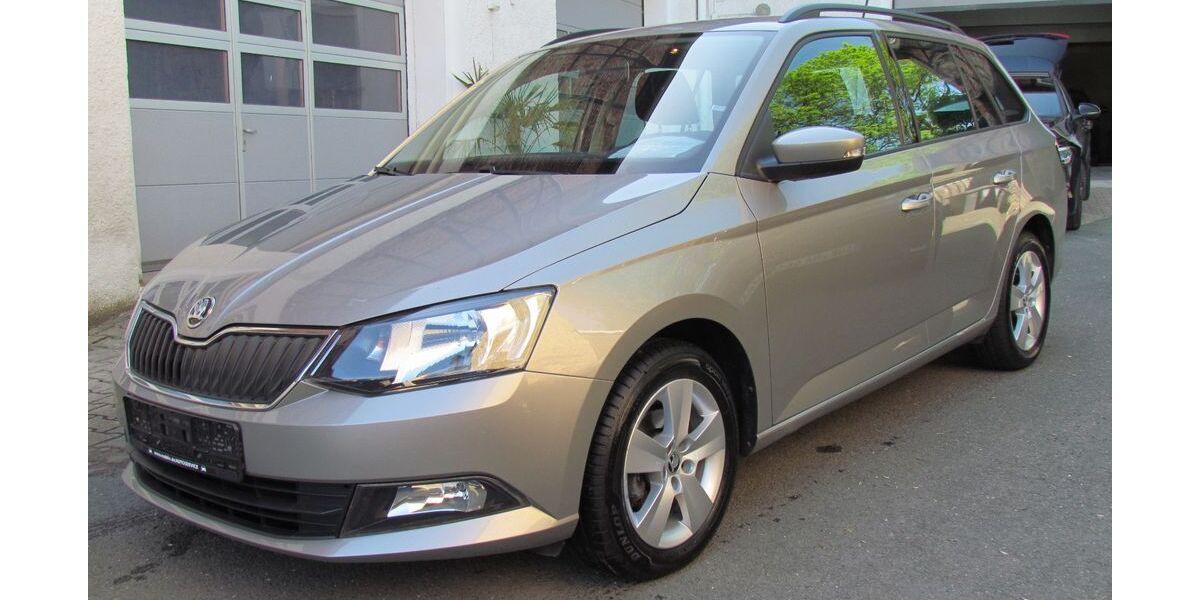 Skoda Fabia 69.000 km 8.490 &euro; Remptendorf 07368
