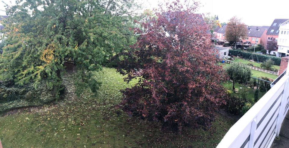 Dachgeschoßwohnung Delmenhorst Düsternort - 2.5 Zimmer, 54 m&sup2;, 650&euro; | Angebot:25854603