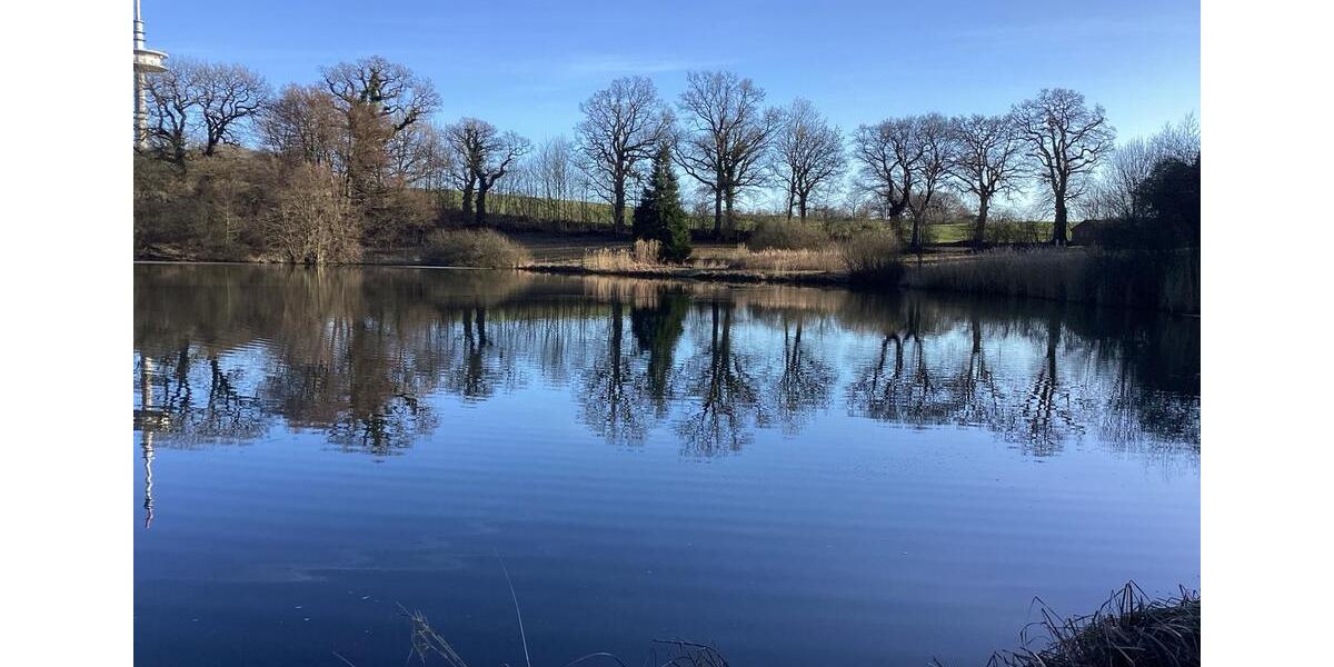 Etagenwohnung Schönwalde am Bungsberg - 5 Zimmer, 130 m&sup2;, 170.000&euro; | Angebot:26164474