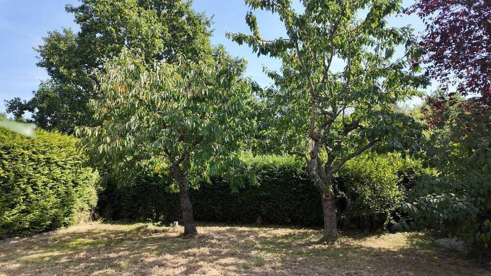 Familientraum! Sanierte Doppelhaushälfte mit Einbauküche, eigenem Garten und Garage in Traumlage.