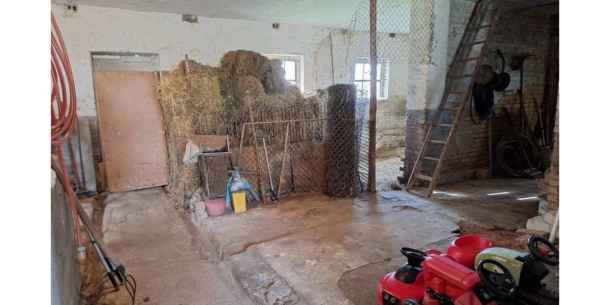 Einfamilienhaus Greifswald Groß Schönwalde - 4 Zimmer, 96 m&sup2;, 378.000&euro; | Angebot:26819601