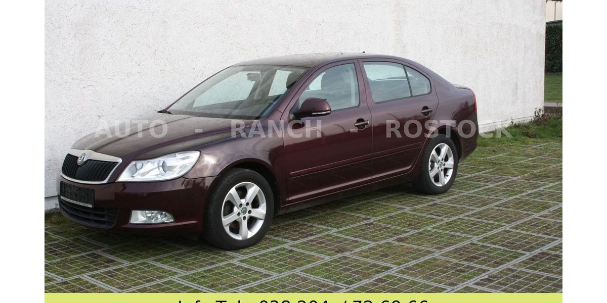 Skoda Octavia 270.000 km 4.250 &euro; Broderstorf OT Pastow 18184