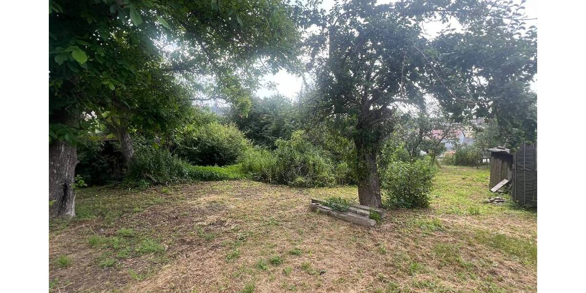 Grundstück Glashütte Reinhardtsgrimma - 59.000&euro; | Angebot:25682252