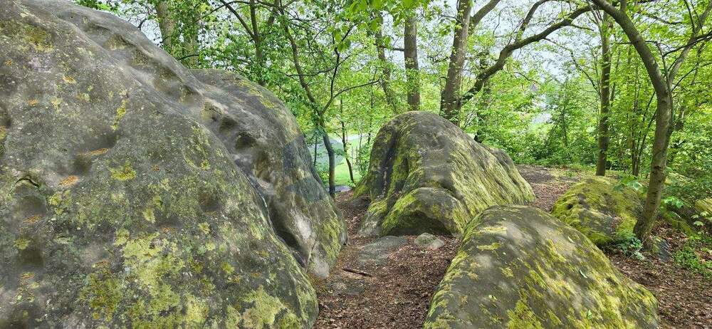 Etagenwohnung Wolfsburg Hohenstein - 2 Zimmer, 53 m&sup2;, 375&euro; | Angebot:25526208