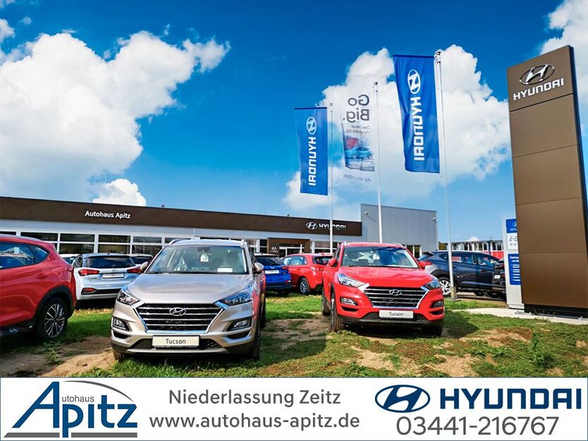 BMW X2 80.950 km 18.990 € Zeitz 06712