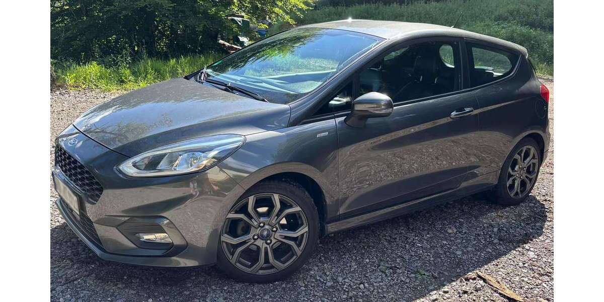 Ford Fiesta 123.000 km 7.000 &euro; Wilhelmsfeld 69259