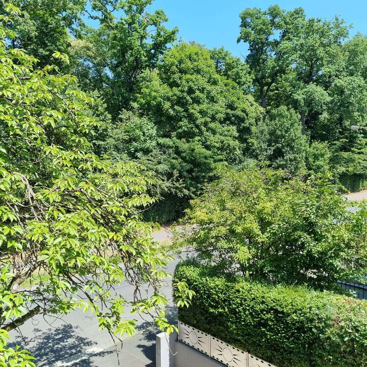 Wohnung zum Mieten in Aschaffenburg 380 € 28 m²