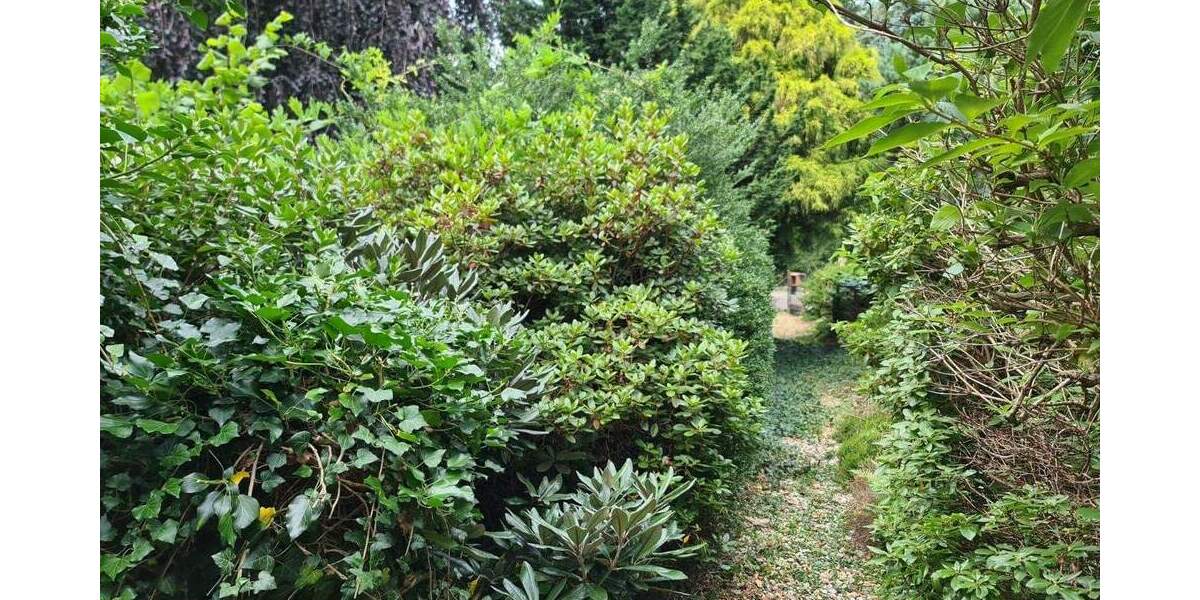 Einfamilienhaus Döbern - 4 Zimmer, 91 m&sup2;, 130.000&euro; | Angebot:23854944