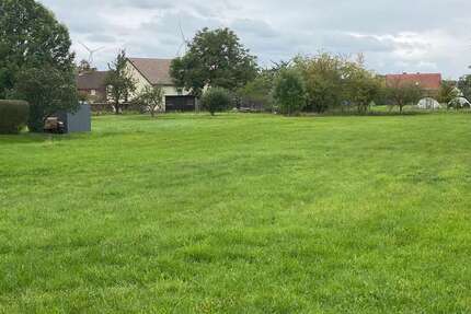 Grundstück zu verkaufen in Buckow 79.000 € 2315 m² zimmer