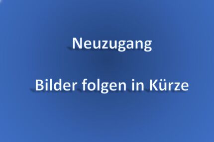 VW Touareg 99.500 km 42.800 &euro; Sindelfingen 71065