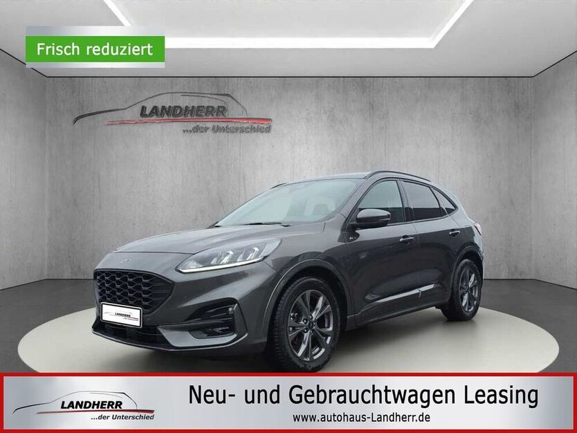 Kuga