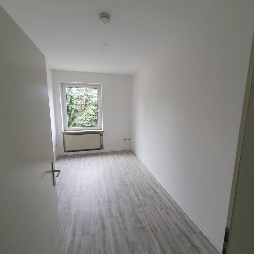 schöne 3 Raumwohnung zimmer
