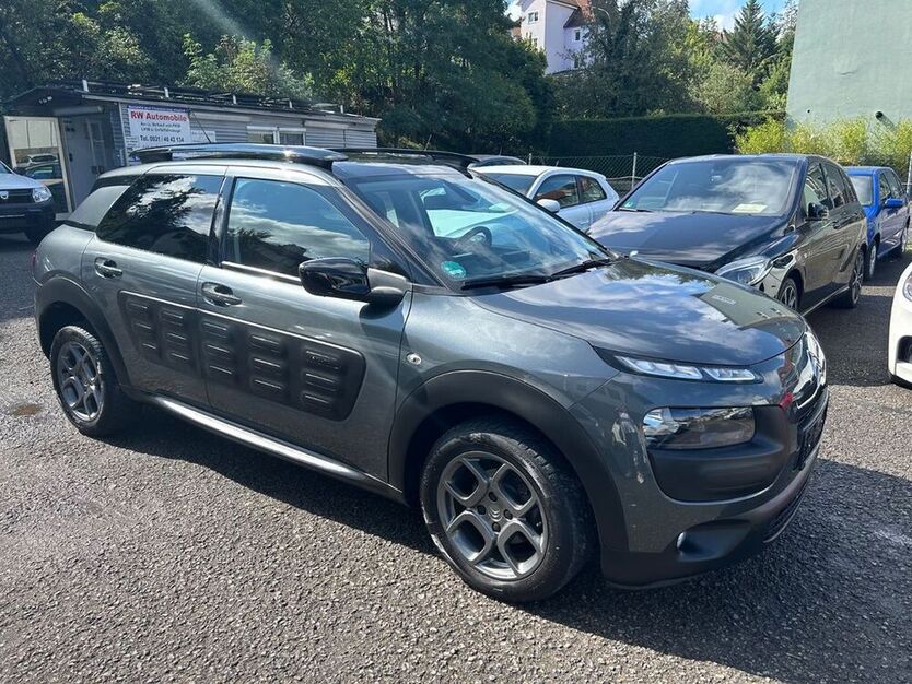 C4 Cactus