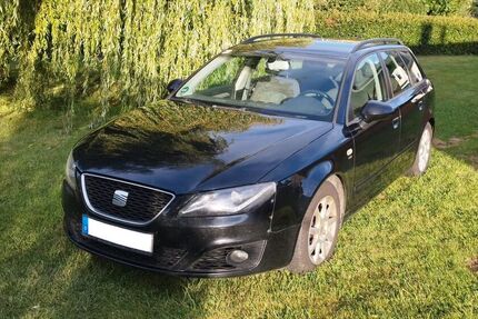 Seat Exeo