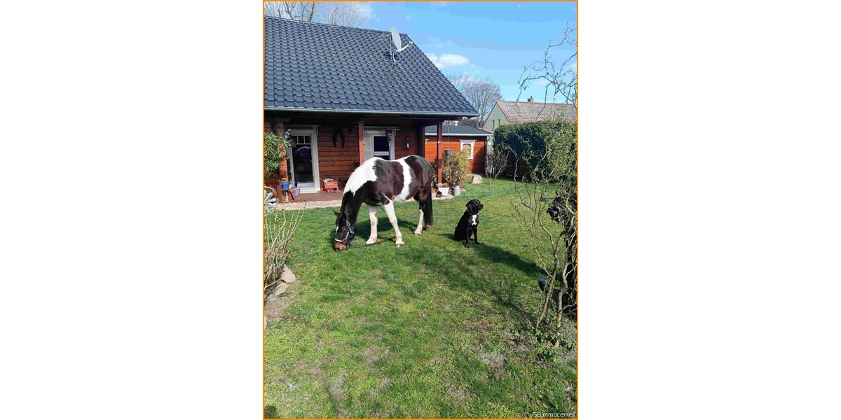 Einige Seeen, traumhafte - ländliche Lage und ein tolles Haus - Einfamilienhaus Trebbin-Großbeuthen Großbeuthen | Angebot:20301870