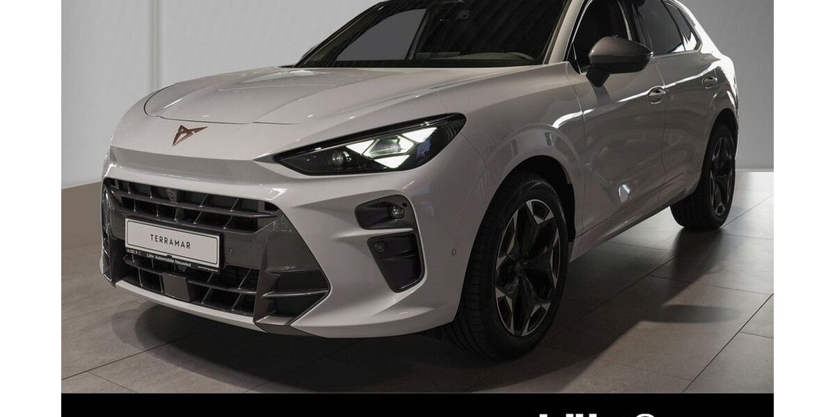 Cupra Terramar 1.500 km 46.920 &euro; Neuwied 56564