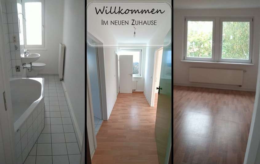 Wohnung zum Mieten in Chemnitz 255 € 46.24 m² 2 zimmer