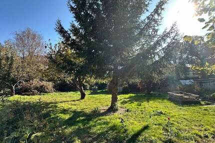 Grundstück Sachsen - Arnsdorf Arnsdorf - 79.000&euro; | Angebot:21692408