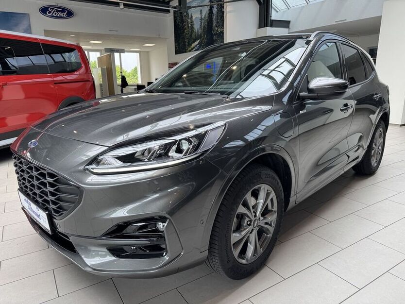 Kuga