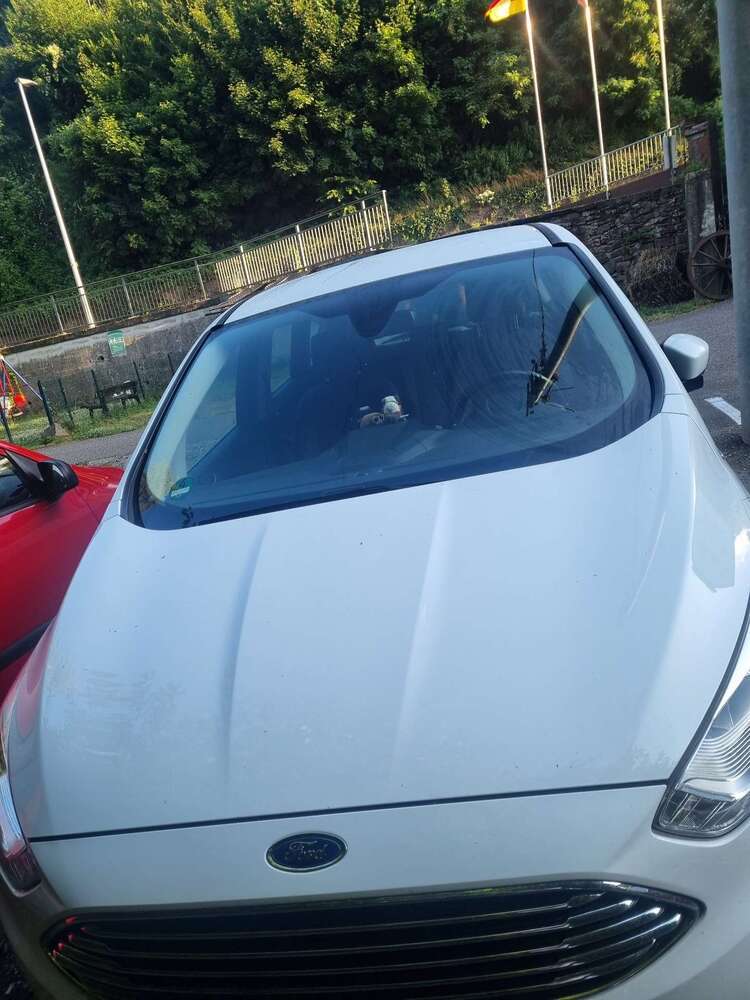 C-Max