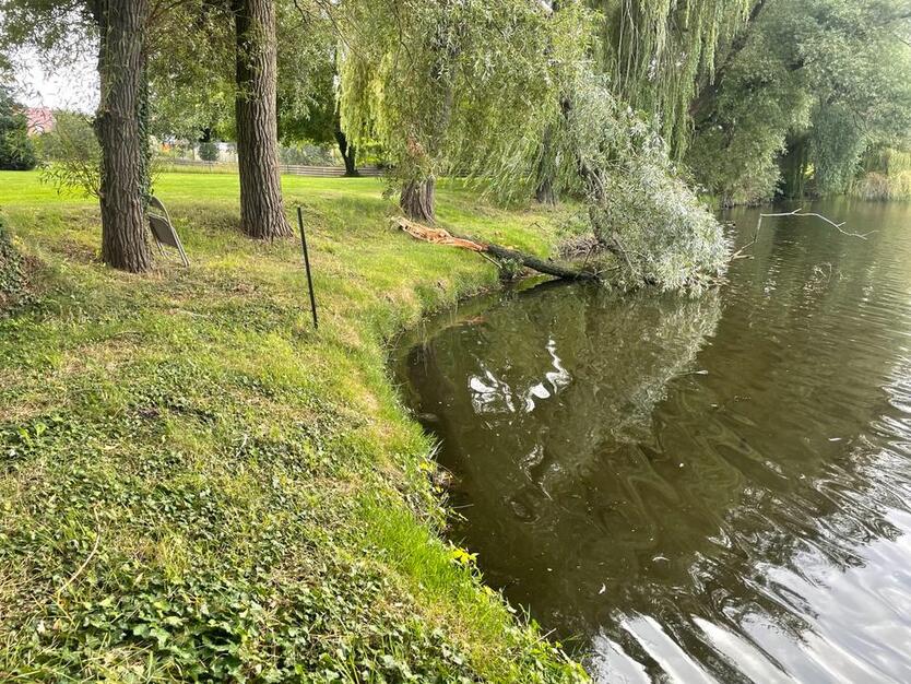 Wassergrundstück Seegrundstück über 4200 m2 direkt am Wasser
