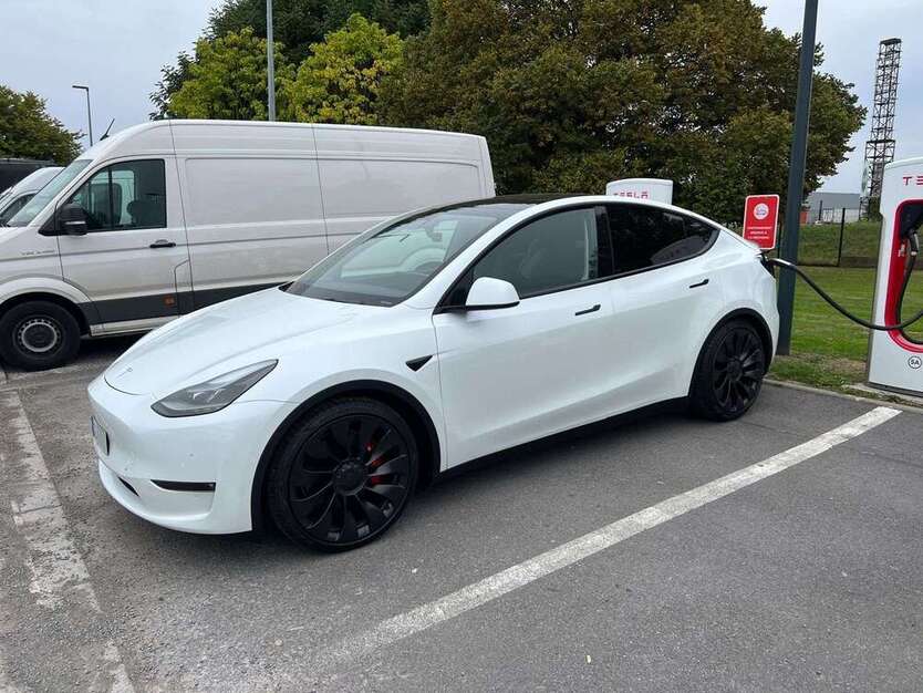 Model Y