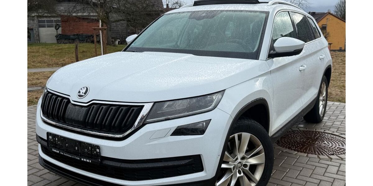 Skoda Kodiaq 197.100 km 19.000 &euro; Eichenzell 36124