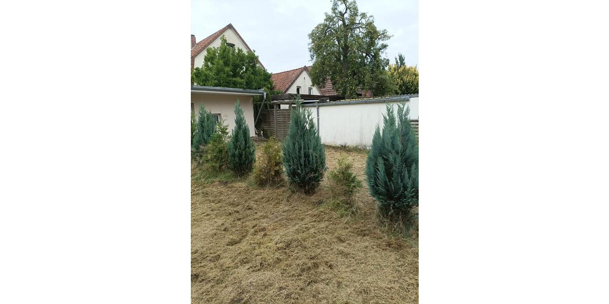 Erdgeschoßwohnung Oldenburg Etzhorn - 5 Zimmer, 110 m&sup2;, 1.000&euro; | Angebot:25420086