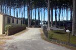 Einfamilienhaus Graal-Müritz Müritz - 2 Zimmer, 40 m&sup2;, 149.500&euro; | Angebot:27120961