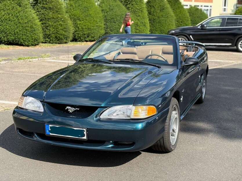 Mustang