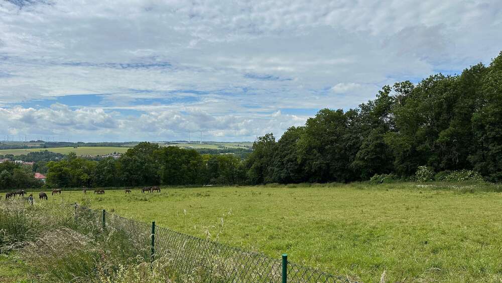 Grundstück Dingelstädt - 18.000&euro; | Angebot:15930771