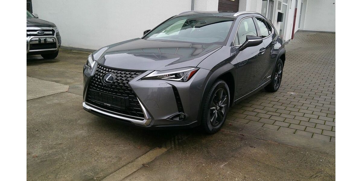 Lexus UX 83.840 km 18.990 &euro; Cadolzburg 90556